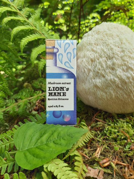 Lion's Mane Mushroom: A Natural Wonder for Health and Wellness