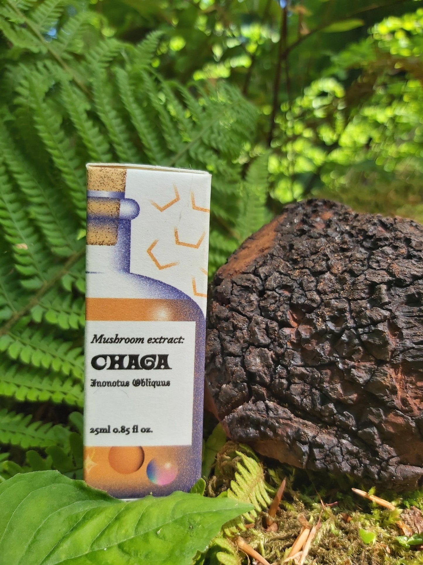 Chaga Tincture (Wholesale) (25ml)