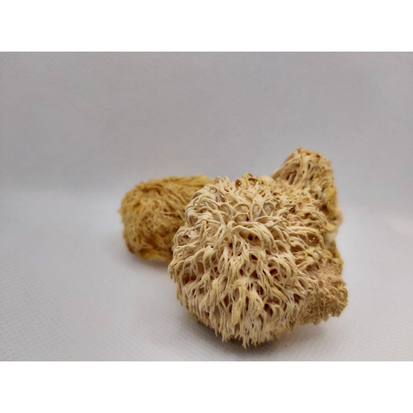 Dried Lions Mane Mushroom