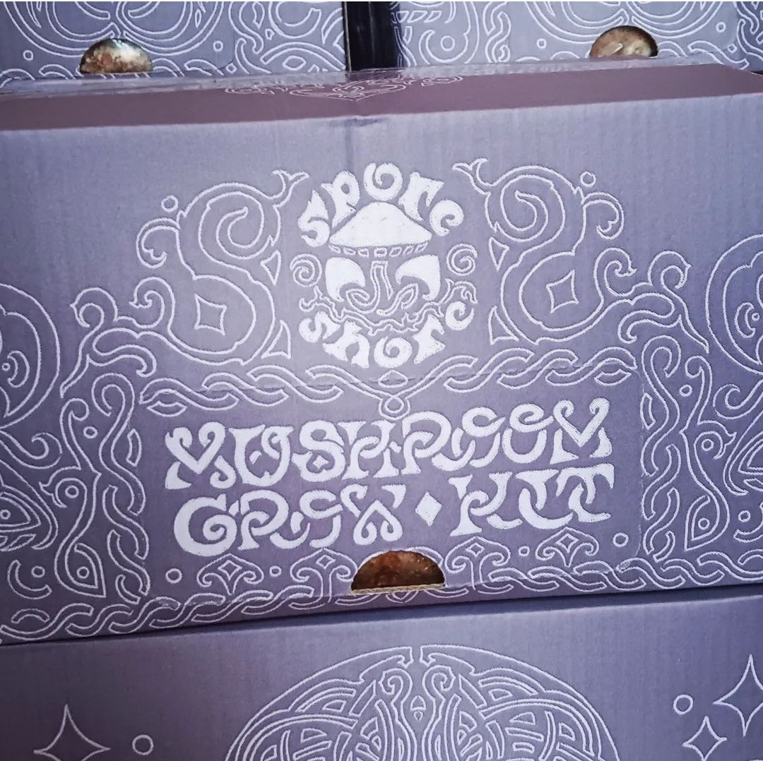 Pink Oyster Mushroom Growkit