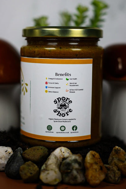 Irish Seamoss + Mixed Mushroom - Body & Mind Ultimate Wellness Gel - Cinnamon & Clove