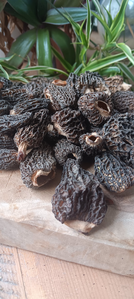 Dried Wild Morels
