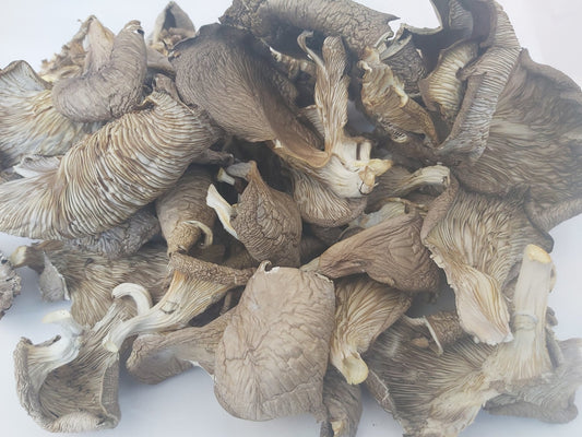 Dried Oyster Mushrooms