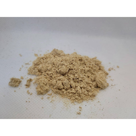 Dried Oyster Mushroom Powder