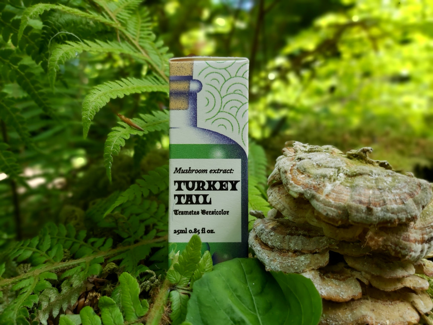 Turkey Tail Mushroom Tincture (25ml)